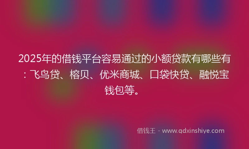 2025年的借钱平台容易通过的小额贷款有哪些有：飞鸟贷、榕贝、优米商城、口袋快贷、融悦宝钱包等。