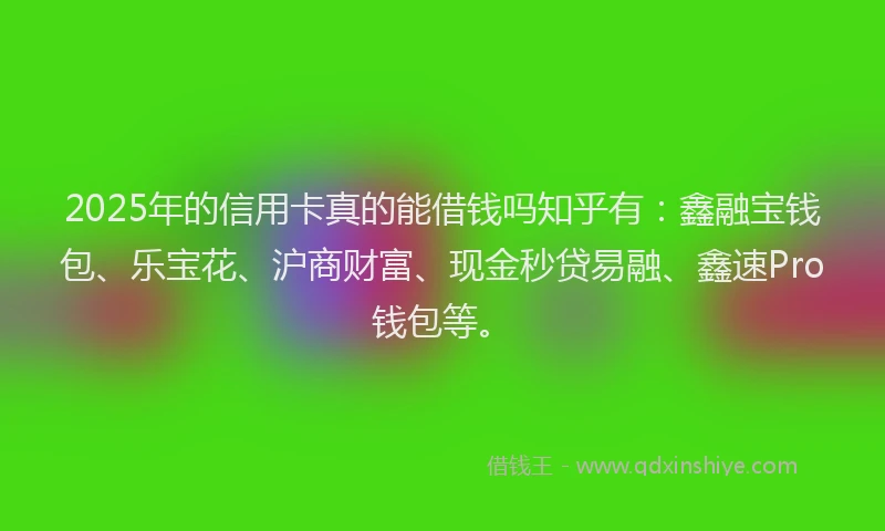 2025年的信用卡真的能借钱吗知乎有：鑫融宝钱包、乐宝花、沪商财富、现金秒贷易融、鑫速Pro钱包等。