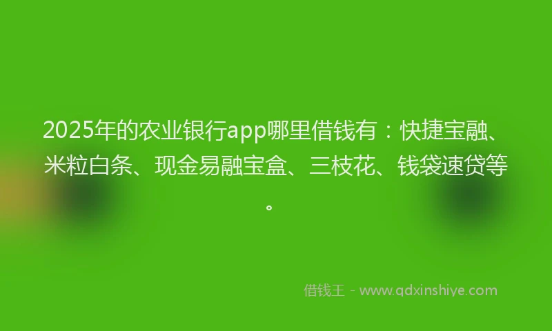 2025年的农业银行app哪里借钱有：快捷宝融、米粒白条、现金易融宝盒、三枝花、钱袋速贷等。