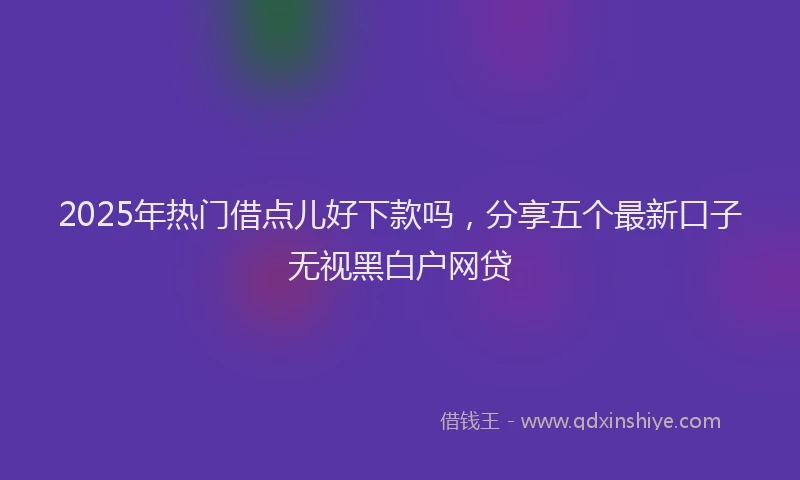 2025年热门借点儿好下款吗，分享五个最新口子无视黑白户网贷