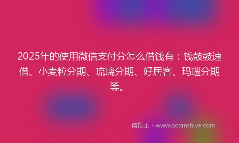 2025年的使用微信支付分怎么借钱有：钱鼓鼓速借、小麦粒分期、琉璃分期、好居客、玛瑙分期等。