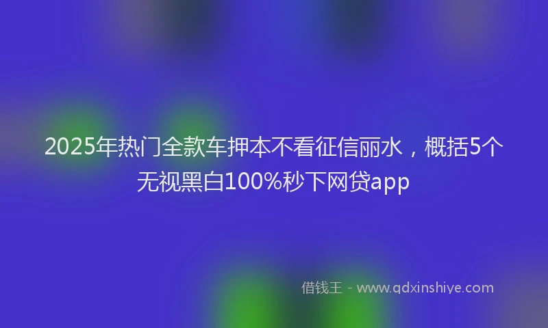 2025年热门全款车押本不看征信丽水，概括5个无视黑白100%秒下网贷app