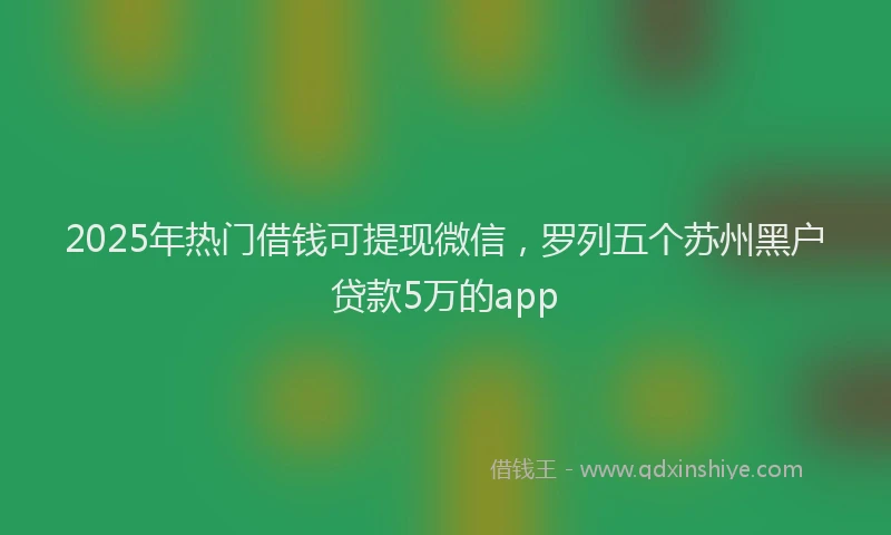 2025年热门借钱可提现微信，罗列五个苏州黑户贷款5万的app