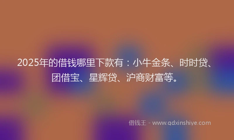 2025年的借钱哪里下款有：小牛金条、时时贷、团借宝、星辉贷、沪商财富等。