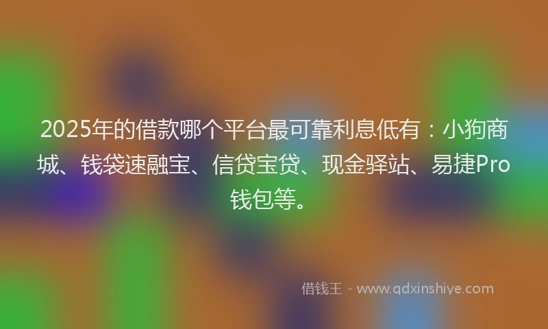 2025年的借款哪个平台最可靠利息低有：小狗商城、钱袋速融宝、信贷宝贷、现金驿站、易捷Pro钱包等。