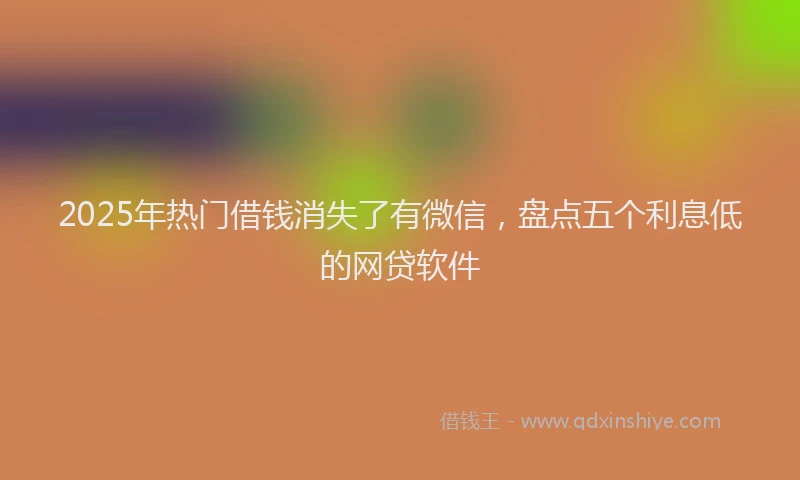 2025年热门借钱消失了有微信，盘点五个利息低的网贷软件