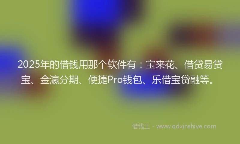 2025年的借钱用那个软件有：宝来花、借贷易贷宝、金瀛分期、便捷Pro钱包、乐借宝贷融等。