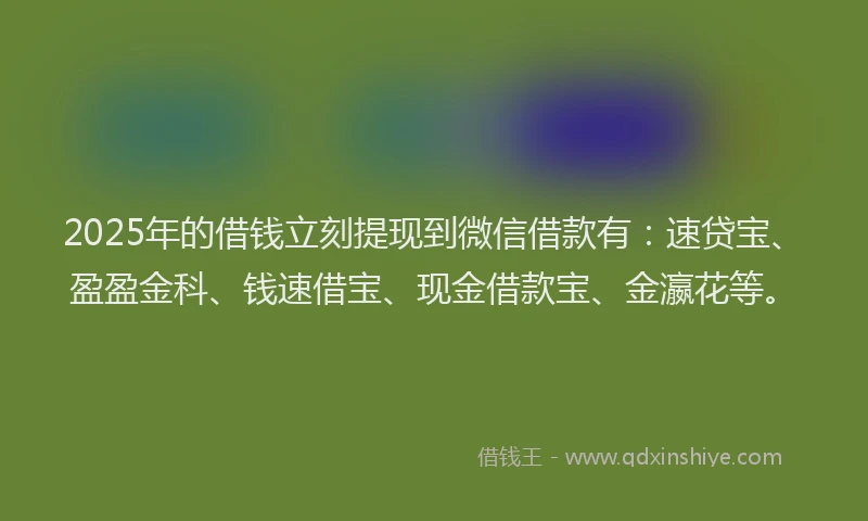 2025年的借钱立刻提现到微信借款有：速贷宝、盈盈金科、钱速借宝、现金借款宝、金瀛花等。
