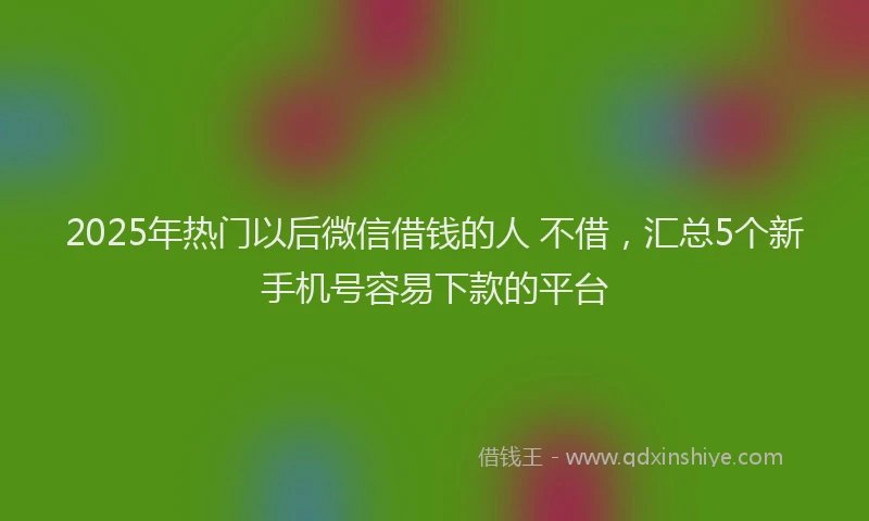 2025年热门以后微信借钱的人 不借，汇总5个新手机号容易下款的平台