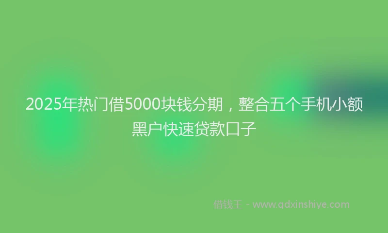 2025年热门借5000块钱分期，整合五个手机小额黑户快速贷款口子