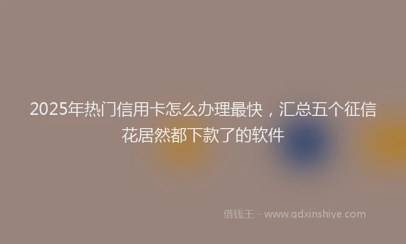 2025年热门信用卡怎么办理最快，汇总五个征信花居然都下款了的软件