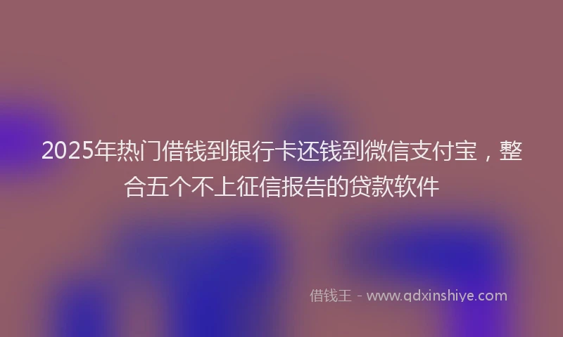 2025年热门借钱到银行卡还钱到微信支付宝，整合五个不上征信报告的贷款软件