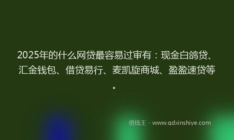 2025年的什么网贷最容易过审有：现金白鸽贷、汇金钱包、借贷易行、麦凯旋商城、盈盈速贷等。