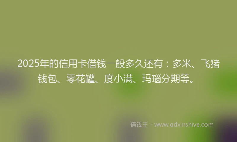 2025年的信用卡借钱一般多久还有：多米、飞猪钱包、零花罐、度小满、玛瑙分期等。