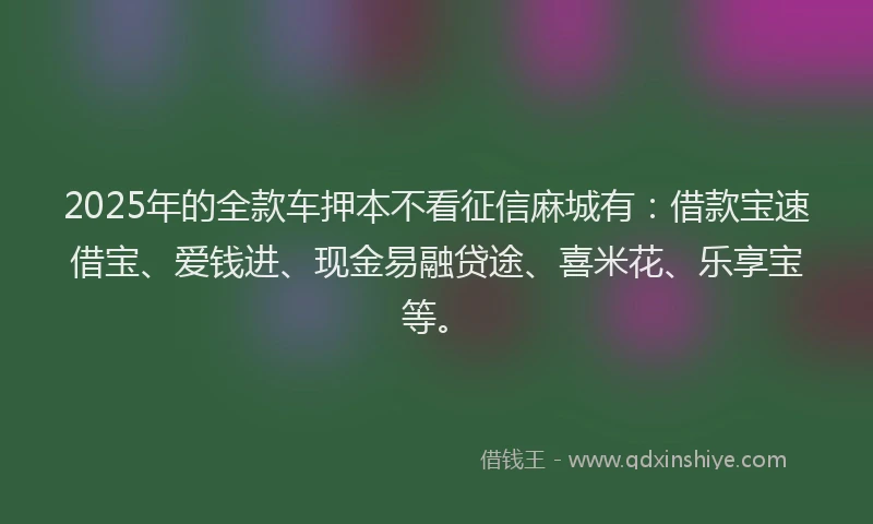 2025年的全款车押本不看征信麻城有:借款宝速借宝、爱钱进、现金易融贷途、喜米花、乐享宝等。