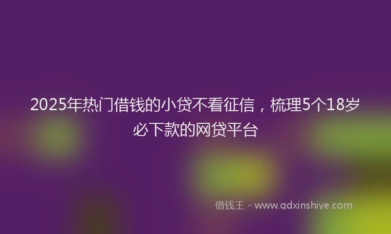 2025年热门借钱的小贷不看征信，梳理5个18岁必下款的网贷平台