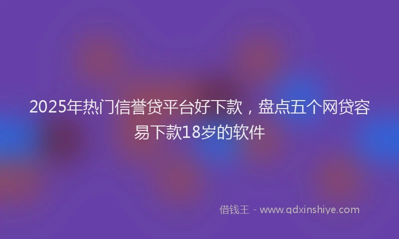 2025年热门信誉贷平台好下款，盘点五个网贷容易下款18岁的软件