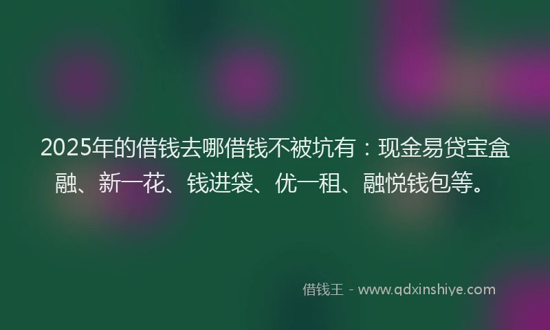 2025年的借钱去哪借钱不被坑有：现金易贷宝盒融、新一花、钱进袋、优一租、融悦钱包等。