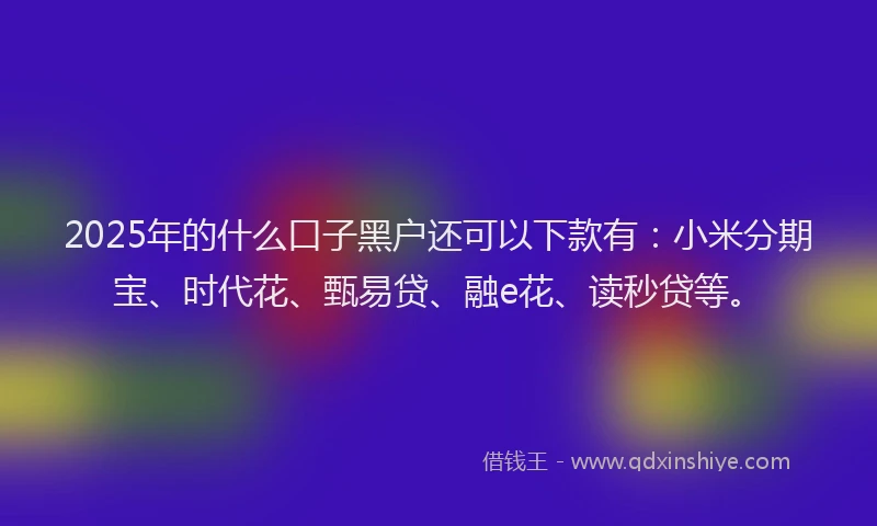 2025年的什么口子黑户还可以下款有：小米分期宝、时代花、甄易贷、融e花、读秒贷等。