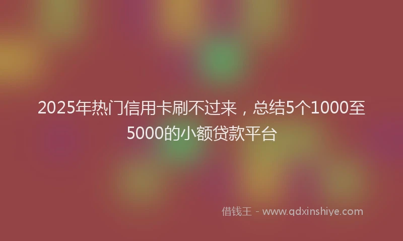 2025年热门信用卡刷不过来，总结5个1000至5000的小额贷款平台