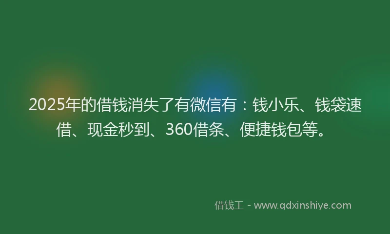 2025年的借钱消失了有微信有：钱小乐、钱袋速借、现金秒到、360借条、便捷钱包等。