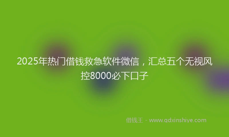2025年热门借钱救急软件微信，汇总五个无视风控8000必下口子