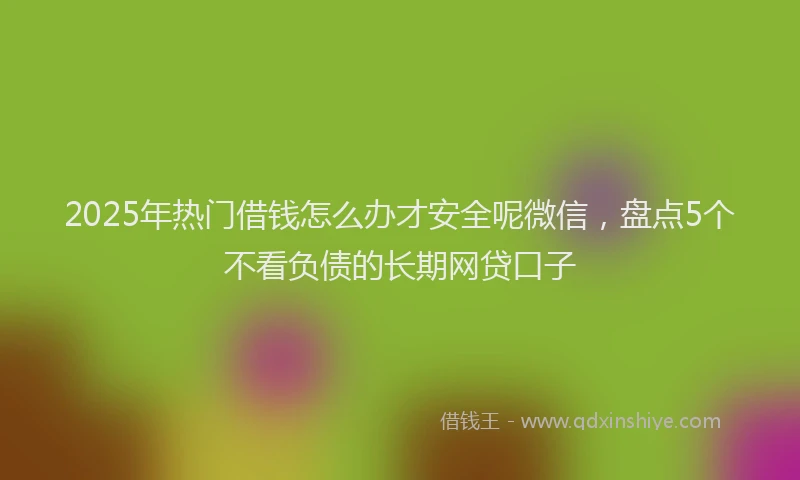 2025年热门借钱怎么办才安全呢微信，盘点5个不看负债的长期网贷口子
