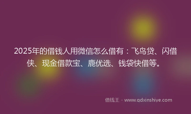 2025年的借钱人用微信怎么借有：飞鸟贷、闪借侠、现金借款宝、鹿优选、钱袋快借等。