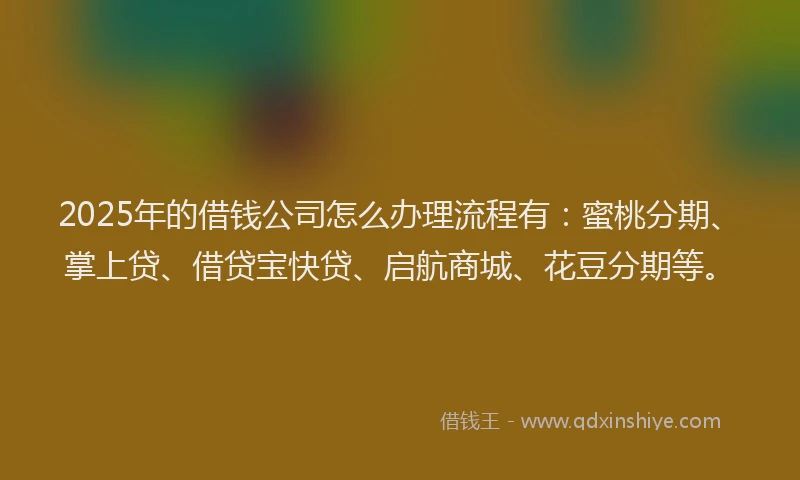 2025年的借钱公司怎么办理流程有：蜜桃分期、掌上贷、借贷宝快贷、启航商城、花豆分期等。
