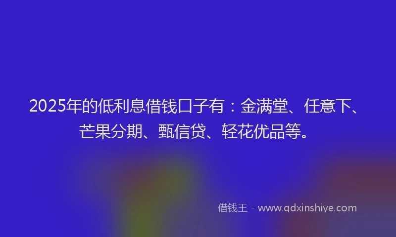2025年的低利息借钱口子有：金满堂、任意下、芒果分期、甄信贷、轻花优品等。
