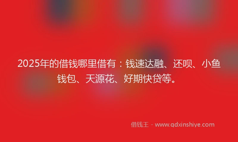 2025年的借钱哪里借有：钱速达融、还呗、小鱼钱包、天源花、好期快贷等。