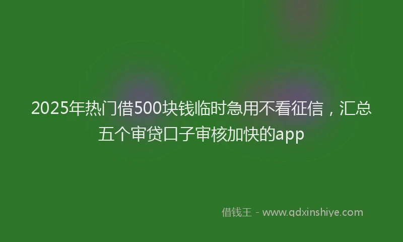 2025年热门借500块钱临时急用不看征信，汇总五个审贷口子审核加快的app
