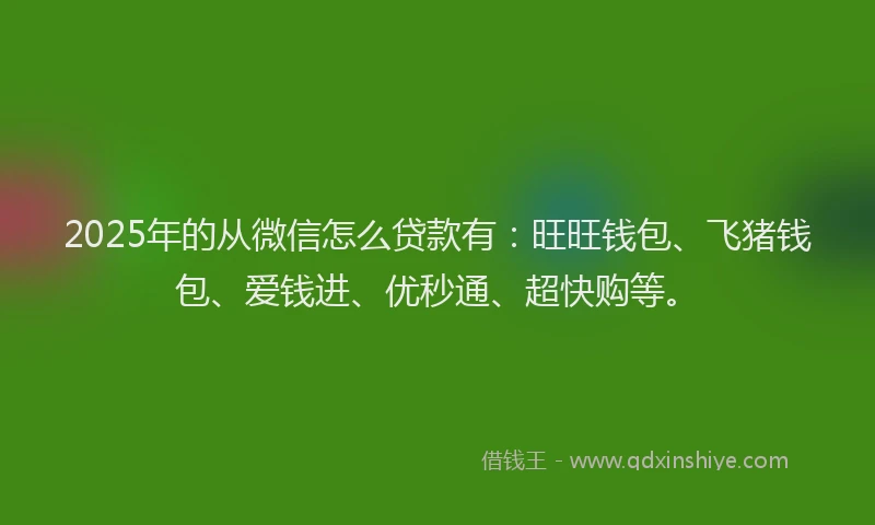 2025年的从微信怎么贷款有：旺旺钱包、飞猪钱包、爱钱进、优秒通、超快购等。