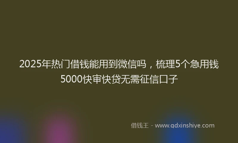 2025年热门借钱能用到微信吗，梳理5个急用钱5000快审快贷无需征信口子
