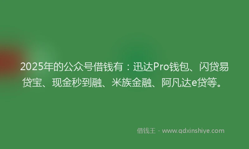 2025年的公众号借钱有：迅达Pro钱包、闪贷易贷宝、现金秒到融、米族金融、阿凡达e贷等。