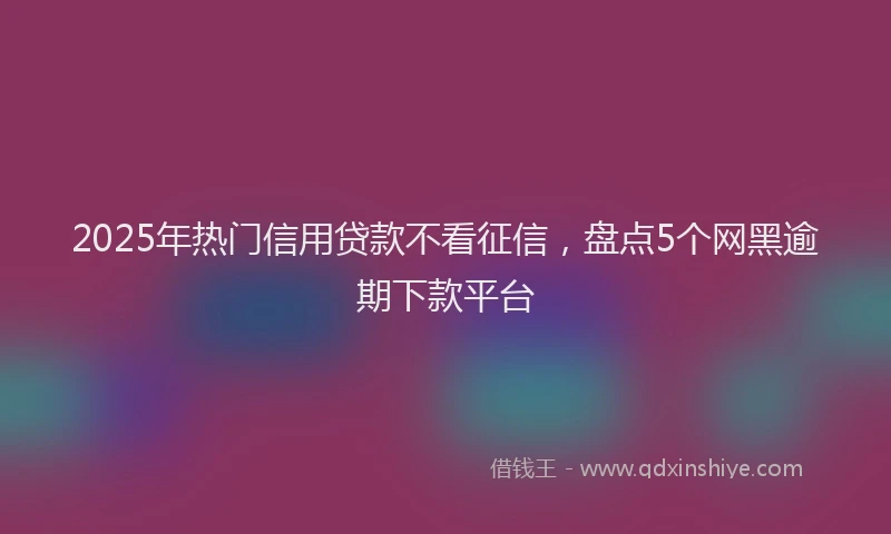 2025年热门信用贷款不看征信，盘点5个网黑逾期下款平台