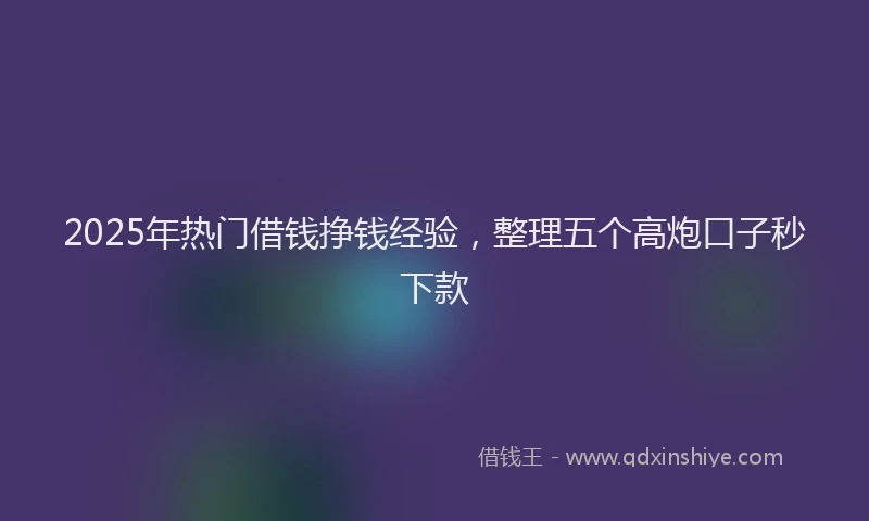2025年热门借钱挣钱经验，整理五个高炮口子秒下款