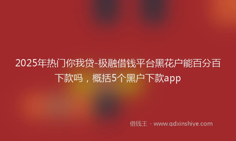 2025年热门你我贷-极融借钱平台黑花户能百分百下款吗，概括5个黑户下款app
