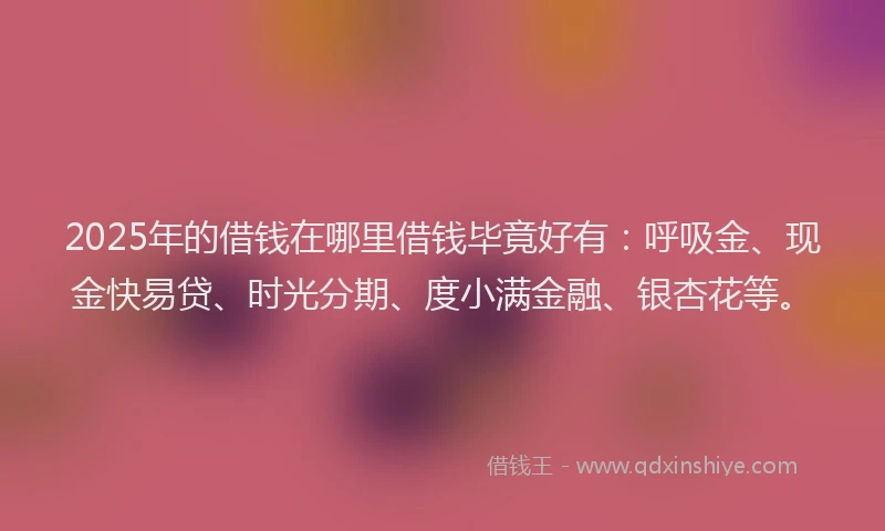 2025年的借钱在哪里借钱毕竟好有：呼吸金、现金快易贷、时光分期、度小满金融、银杏花等。
