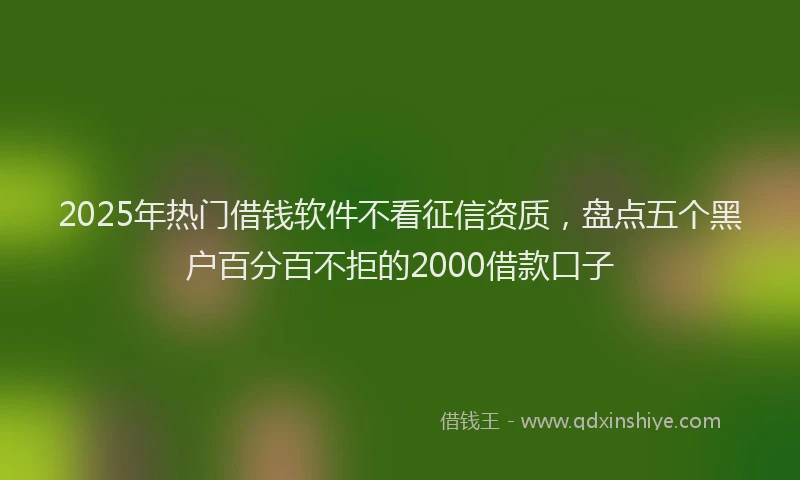 2025年热门借钱软件不看征信资质，盘点五个黑户百分百不拒的2000借款口子
