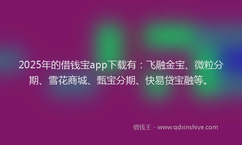 2025年的借钱宝app下载有：飞融金宝、微粒分期、雪花商城、甄宝分期、快易贷宝融等。
