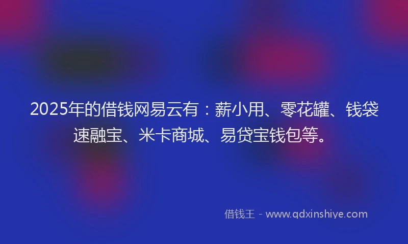 2025年的借钱网易云有：薪小用、零花罐、钱袋速融宝、米卡商城、易贷宝钱包等。