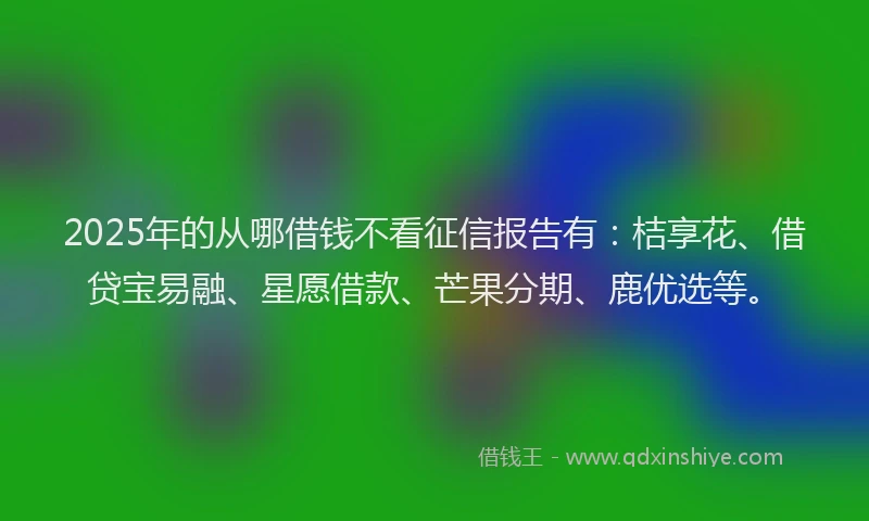 2025年的从哪借钱不看征信报告有：桔享花、借贷宝易融、星愿借款、芒果分期、鹿优选等。