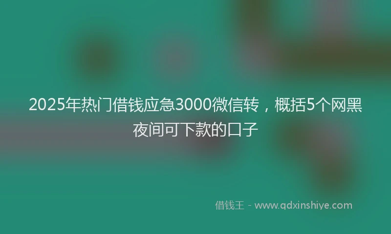 2025年热门借钱应急3000微信转，概括5个网黑夜间可下款的口子