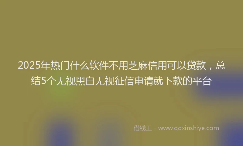 2025年热门什么软件不用芝麻信用可以贷款，总结5个无视黑白无视征信申请就下款的平台