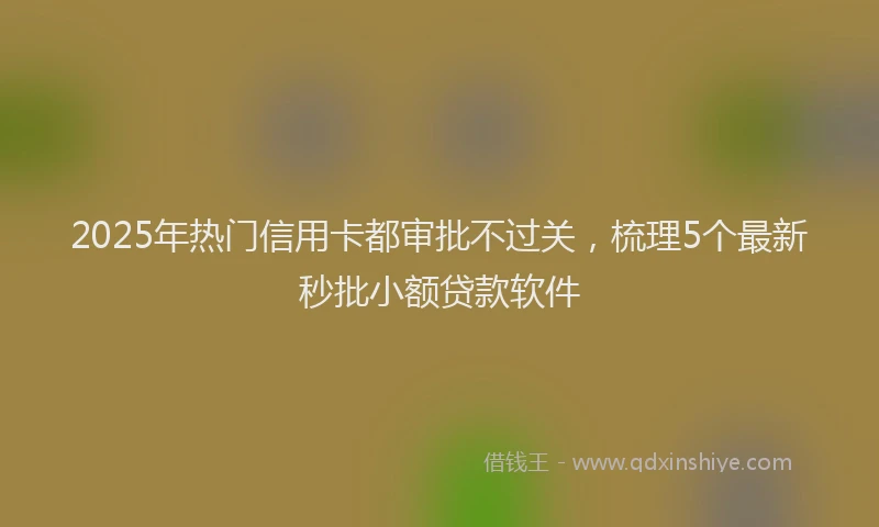 2025年热门信用卡都审批不过关，梳理5个最新秒批小额贷款软件
