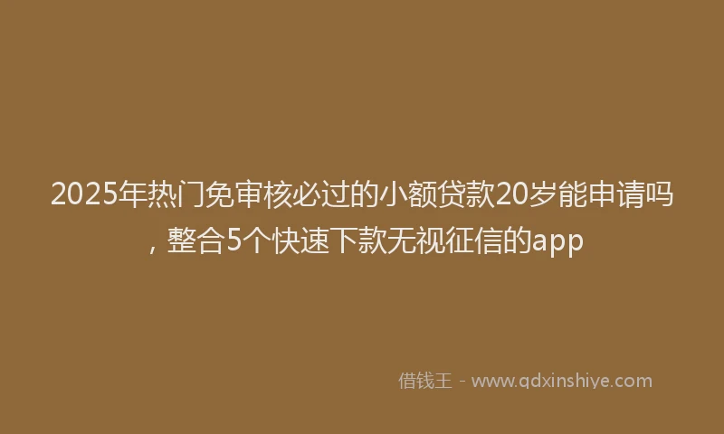 2025年热门免审核必过的小额贷款20岁能申请吗，整合5个快速下款无视征信的app