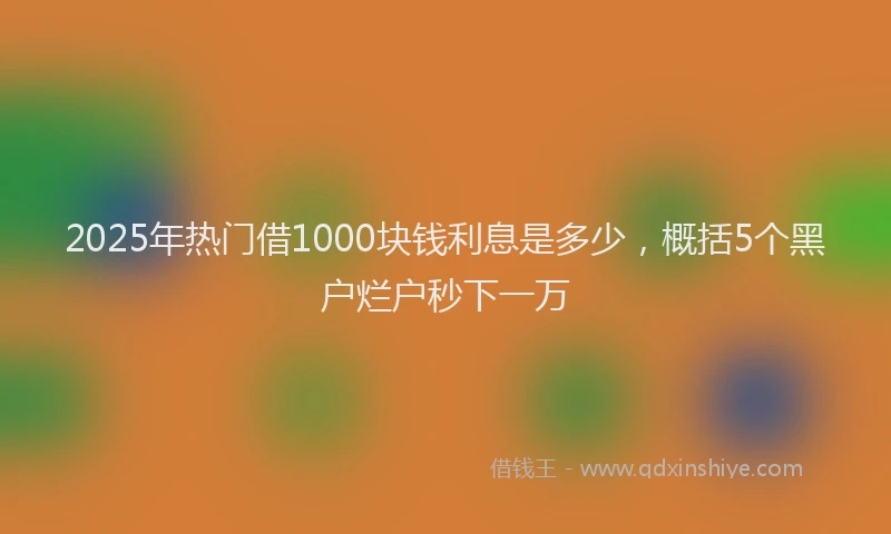 2025年热门借1000块钱利息是多少，概括5个黑户烂户秒下一万