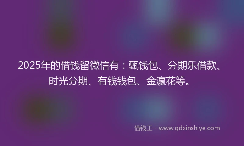 2025年的借钱留微信有：甄钱包、分期乐借款、时光分期、有钱钱包、金瀛花等。