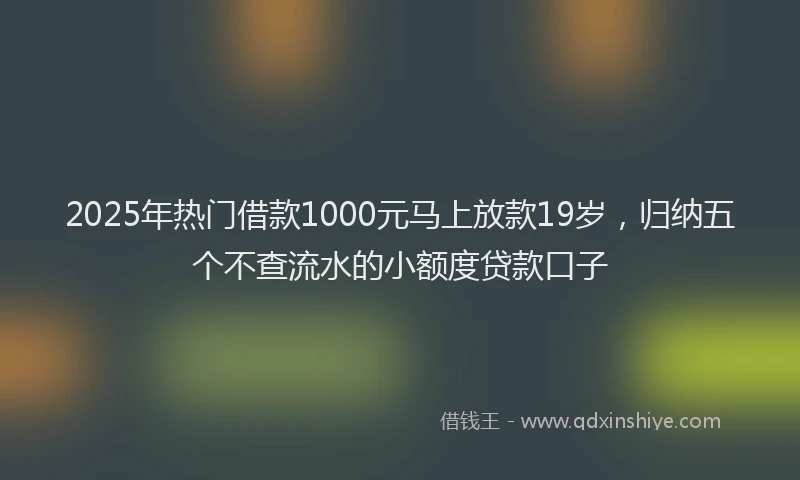 2025年热门借款1000元马上放款19岁，归纳五个不查流水的小额度贷款口子